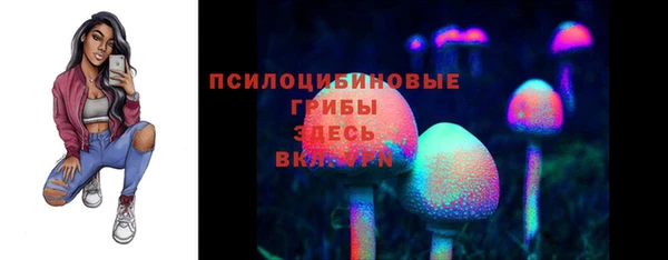 эйфоретик Елабуга