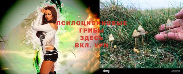 эйфоретик Елабуга