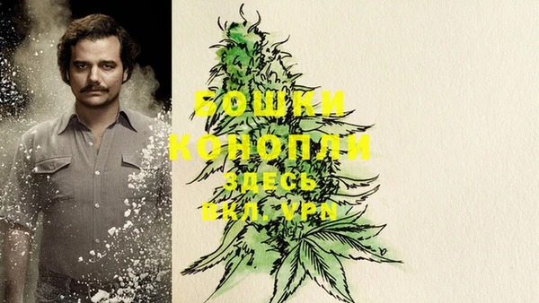 герыч Ельня