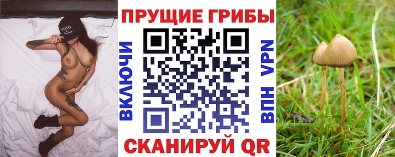 hydra ONION  Элиста  Галлюциногенные грибы прущие грибы 